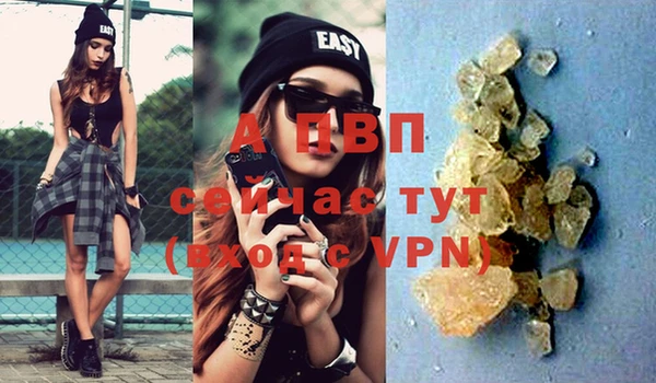ПСИЛОЦИБИНОВЫЕ ГРИБЫ Бердск