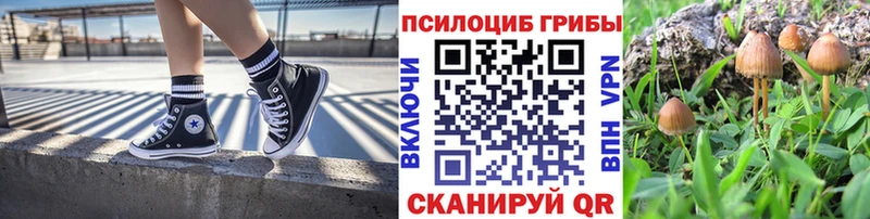 Галлюциногенные грибы Psilocybine cubensis  MEGA зеркало  Костерёво 